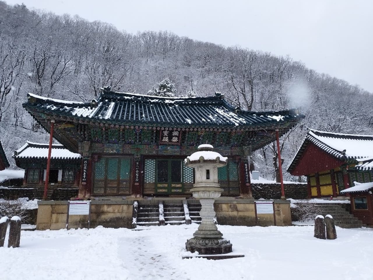 Nami Island, Mount Seorak, and Garden of Morning Calm Full-Day Tour from Seoul - image 20