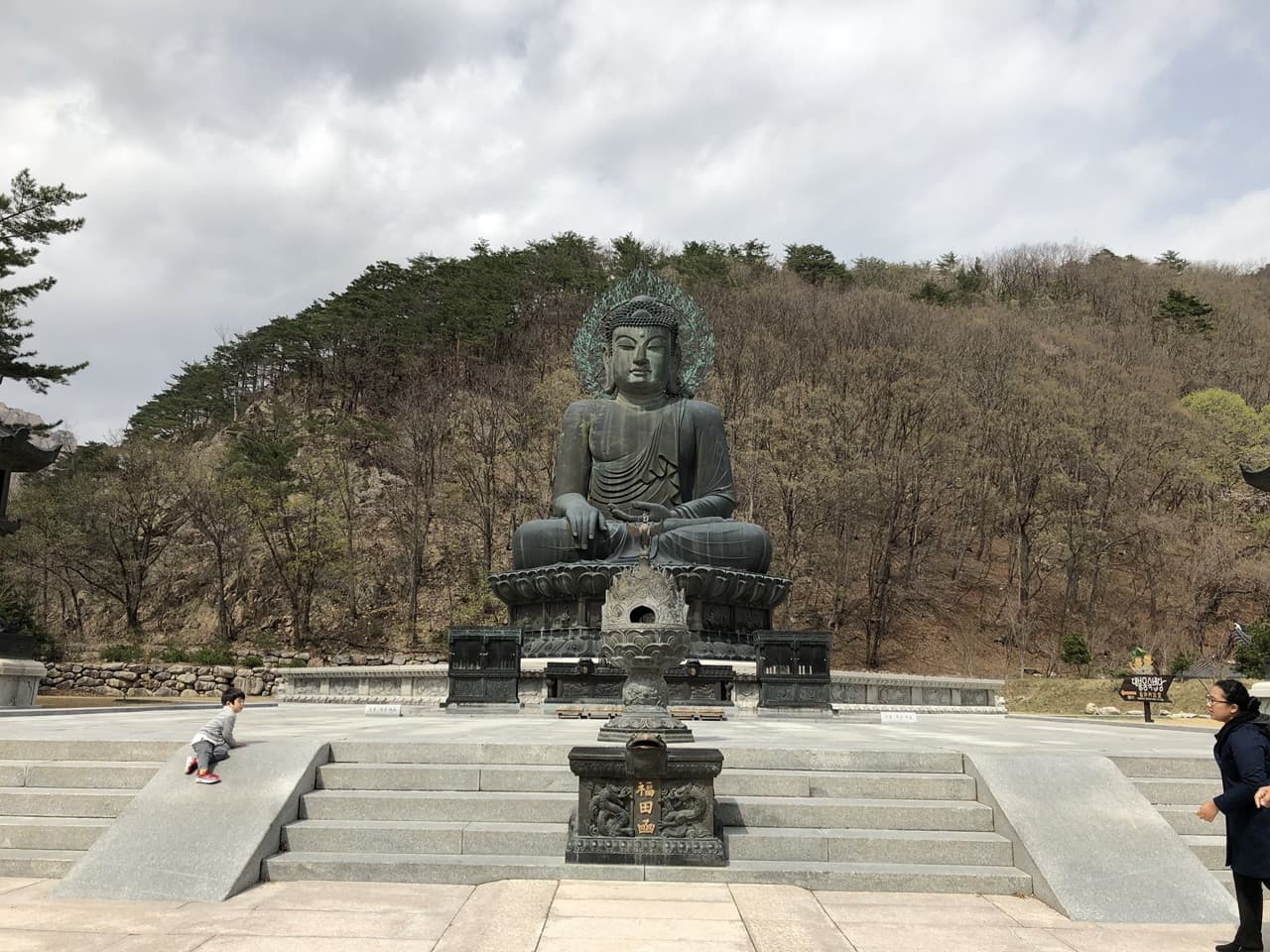 Nami Island, Mount Seorak, and Gapyeong Rail Bike Full-Day Tour from Seoul - image 18