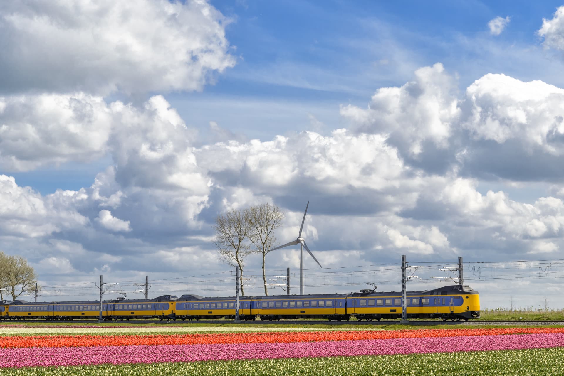 Interrail Global Pass Family Card (Non-Consecutive Days) - image 6
