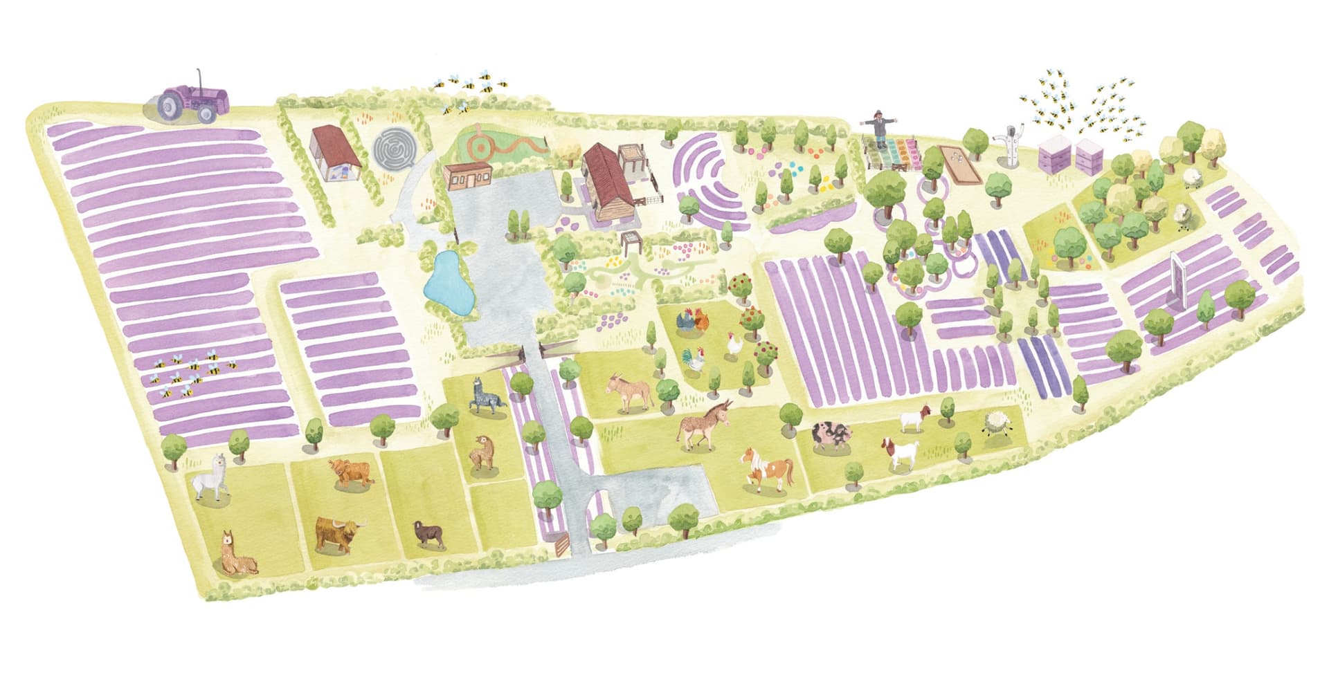 Wanaka Lavender Farm Ticket - image 10